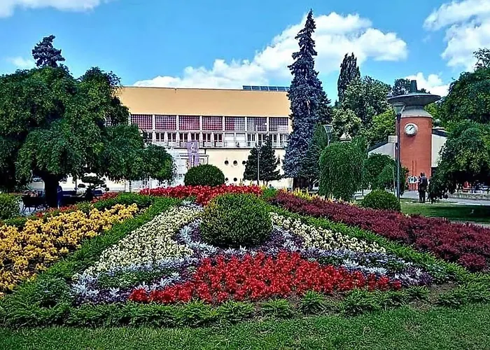 Paradise In Lipova بيت للعطل